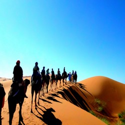 christmas events tours,
