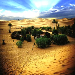 tours from marrakech, 